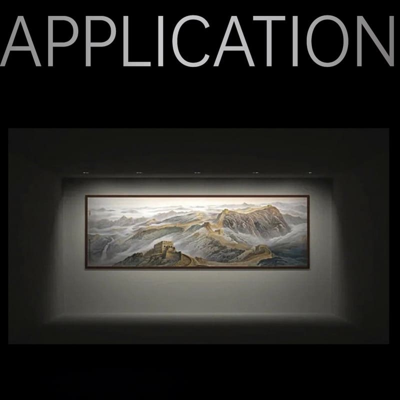 application